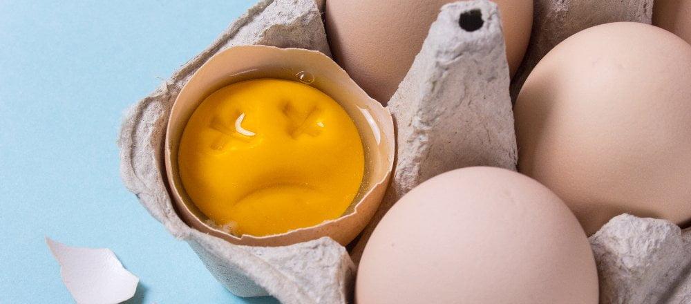 Wat Te Doen Bij Een Rotte Eieren Geur In Huis Broa Vloerisolatie