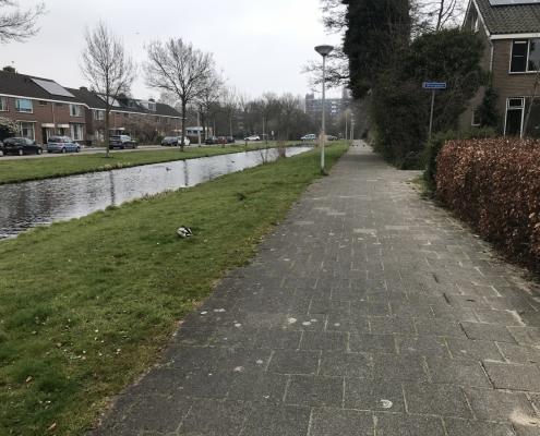 Vloerisolatie in Gouda