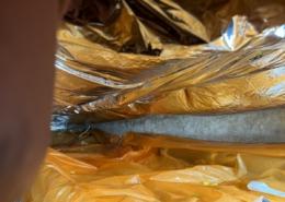 Kruipruimte ventilatie gaat schimmels tegen in Utrecht
