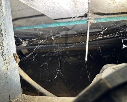 Kruipruimte ventilatie gaat schimmels tegen in Breda