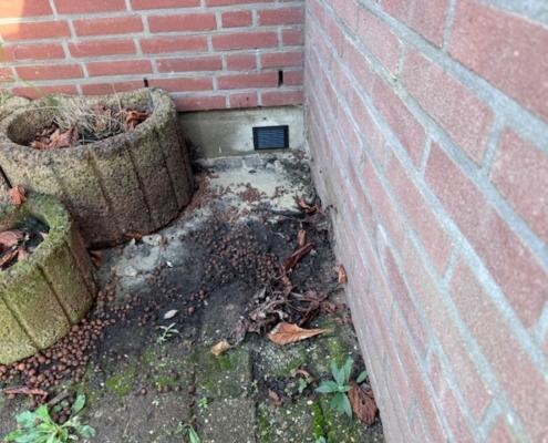 Kruipruimte ventilatie gaat schimmels tegen in Moordrecht